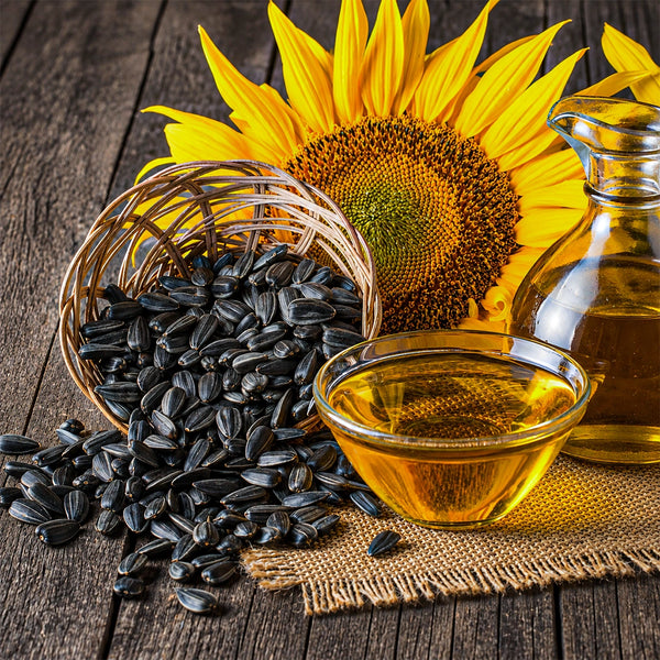 Sunflower Oil